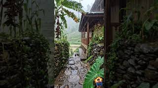 🌦️ Nature at Its Absolute. Best#shorts #village #rain #nature #cinematic #beautiful