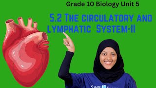 Grade 10 Biology Unit 5:5.2 The circulatory and lymphatic system Part II | Saquama