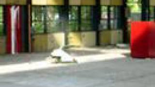 A Heavyweight Robot Flips an Antweight Robot