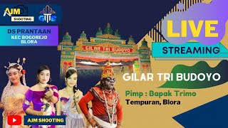 Download Lagu SW. KETOPRAK GILAR TRI BUDOYO Lakon Supo Kembar Live Prantaan Kec. Bogorejo Kab. Blora 14 JULI 2022 MP3
