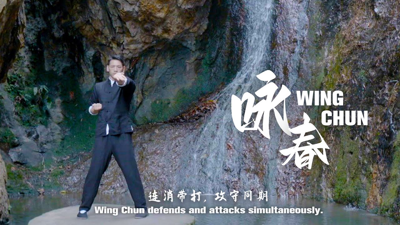 Quick arm movements: Wing Chun｜咏春拳