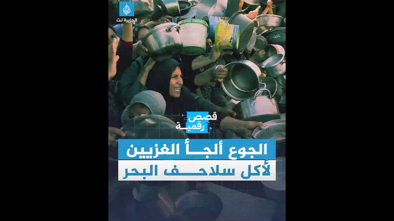 أجبروا على أكل السلاحف البحرية المحمية.. الجوع يفتك بأهل #غزة