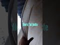Le Cyclone c'était pas des blagues