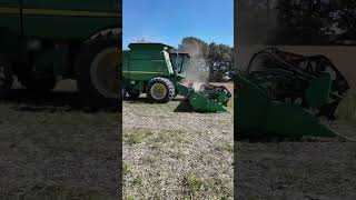 Soybean Cutting #farming #combineharvester #shorts