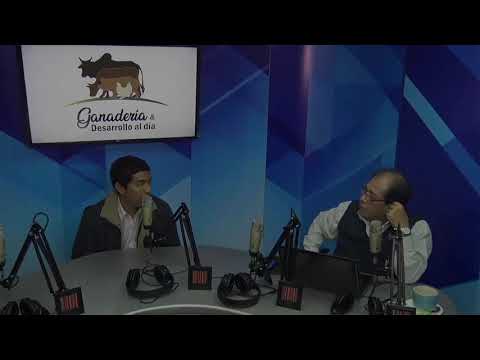 GANADERÍA & DESARROLLO AL DÍA