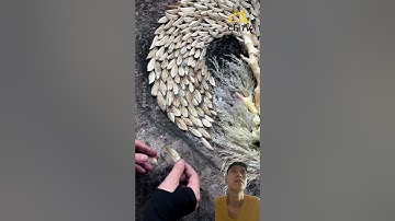 Xếp hình nghệ thuật tập 3 | ChiTV #nguudiecphi #chitv #xephinh