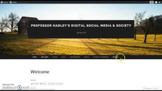 Switching between Primary Menus in WordPress.com