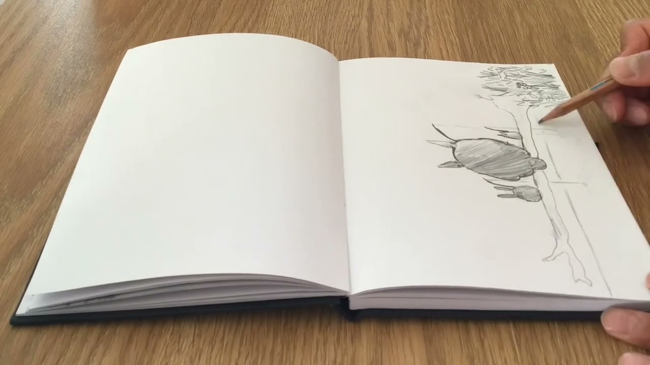 Fishing Totoros Drawing - timelapse