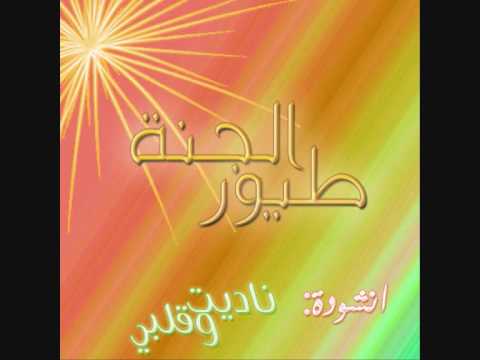 ناديت وقلبي طيور الجنة