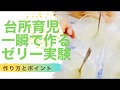 【サイエンスクッキング】塩と氷であっという間にゼリーを作ろう／サイエンススイーツ