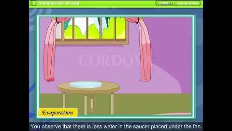 Class IV EVS Chap 5 Sources Of Water