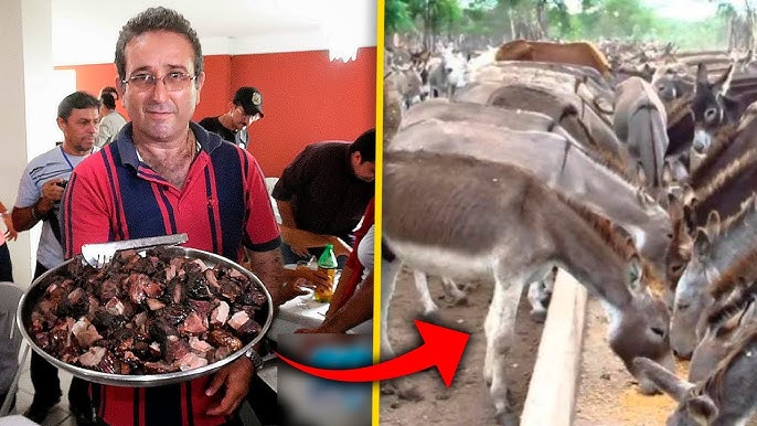 VOCÊ COMERIA CARNE DE CAVALO? - MAIOR FRIGORÍFICO DE CAVALO 