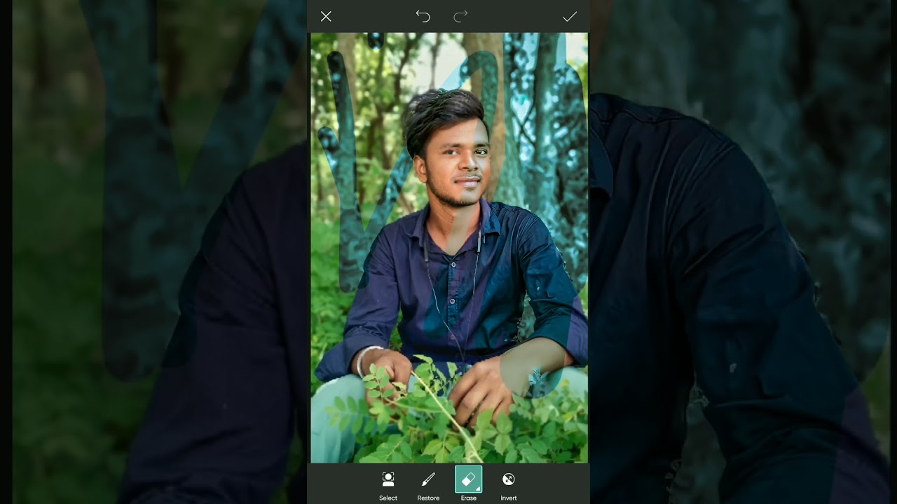 Picasa photo editor skebook editing short video