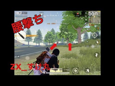 【荒野行動】ZX_すけ丸のキル＆ダウン集 腰撃ちPart25 ※音楽無し(クラン条件概要欄)