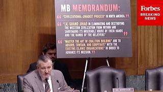 Ted Cruz Leads Senate Judiciary Hearing On 'Confronting The Muslim Brotherhood Network In America'