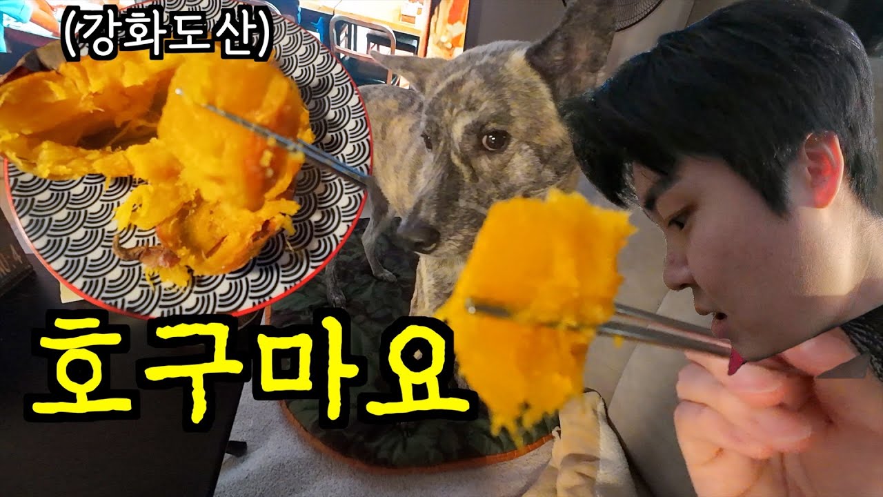 같이 좀 먹자..호구마