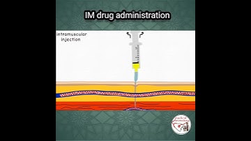 💉 INTRAMUSCULAR (IM) INJECTION, PROCEDURE | ANIMATED EXPLANATION