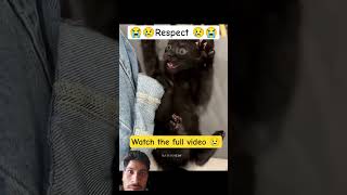 #cat #sad #edit #love #respect #comedy  #funny #sadstatus #emotional #emotional