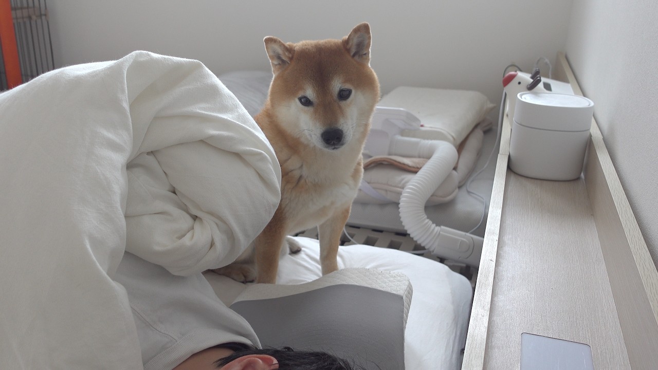 maxresdefault.jpg