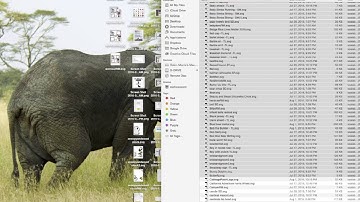 How to load files into my google drive