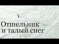 Отшельник и талый снег(30 лет одиночества 27 серия)