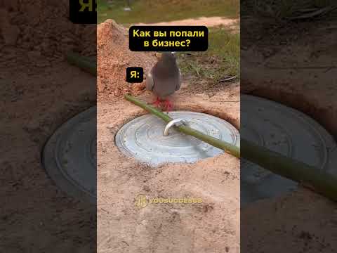 А как вы попали в бизнес? #мотивациянауспех #успех #мотивациядостижений #цель