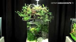 Aquascaping - The Art of the Planted Aquarium 2013 Nano pt.7