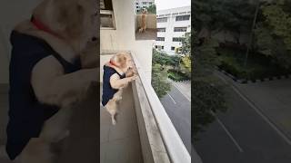 I Am My Mammas Pampered Little Pumpkin