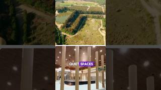 Anant Ambani offers best care for each animal at Vantara  #Vantara #anantdadadt #anantambanidt