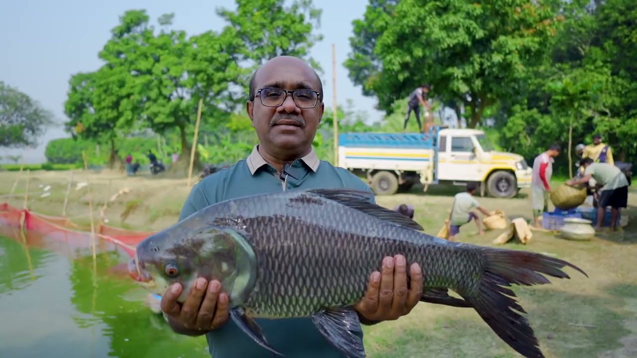 একজন সফল মৎস চাষী জনাব মোঃ মোমরেজ আলী এর মৎস চাষ প্রকল্প।