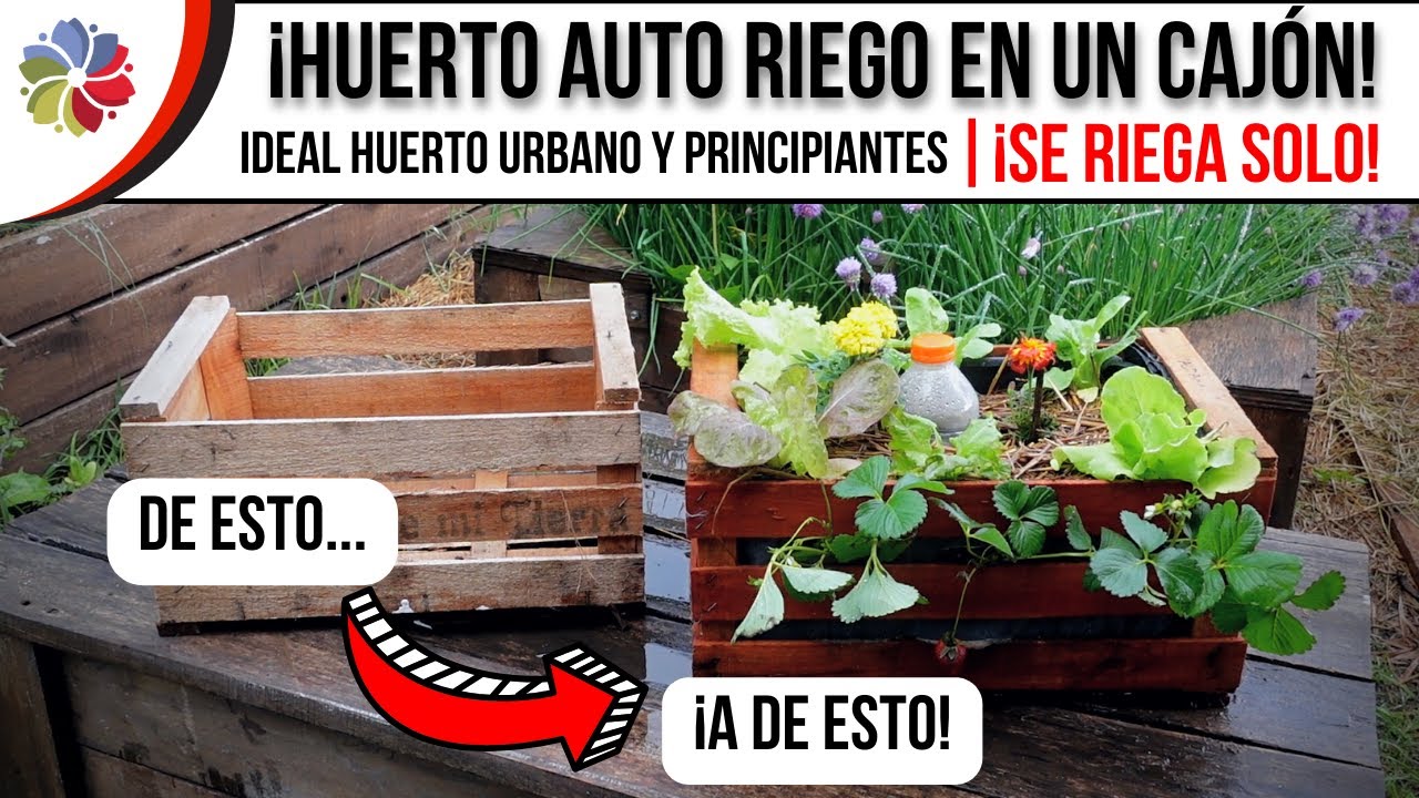 💦 MACETA AUTO-RIEGO con un CAJÓN de VERDURAS  - Ideal HUERTO URBANO y PRINCIPIANTES - Clase 8
