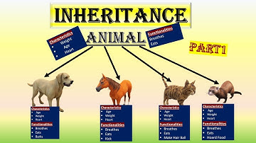 INHERITENCE IN JAVA WITH SIMPLE REAL LIFE EXAMPLE