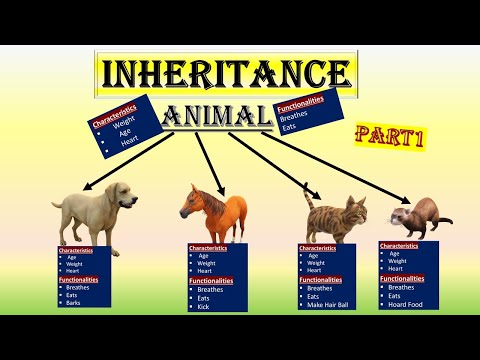 INHERITENCE IN JAVA WITH SIMPLE REAL LIFE EXAMPLE