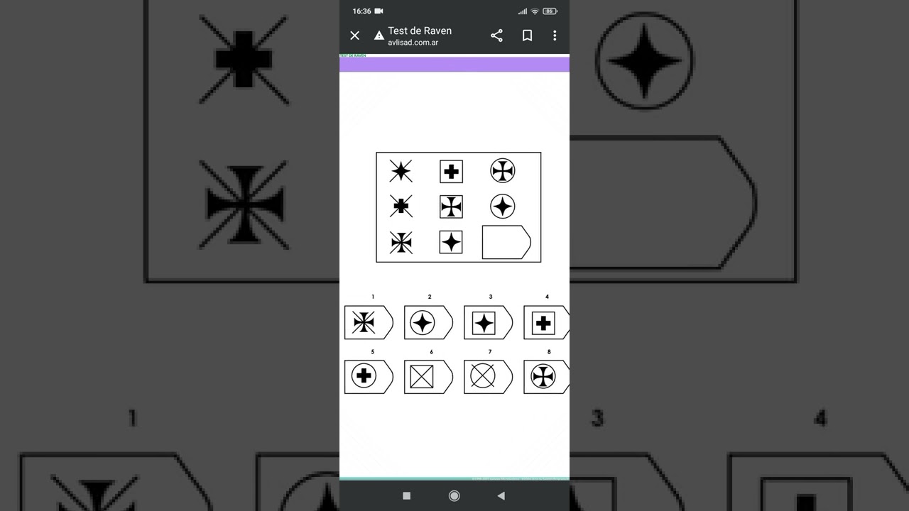 Test de Raven resuelto.