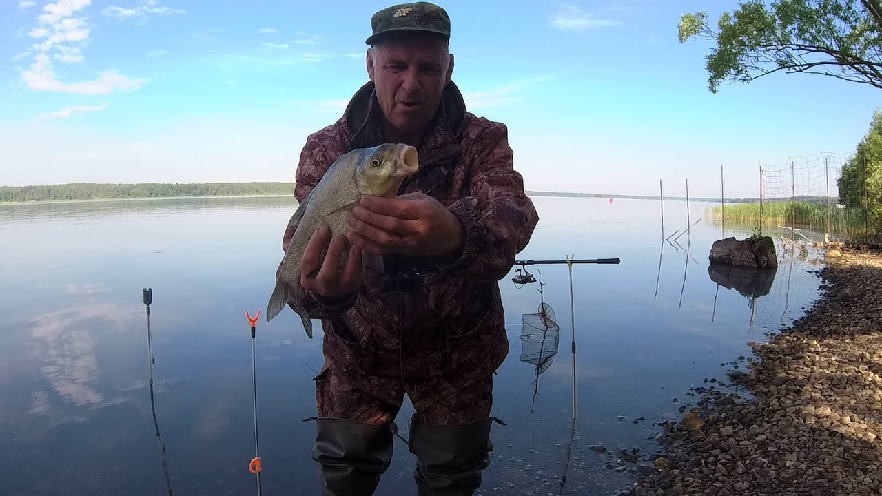 Ловлю леща на волге. Лещ на Волге.