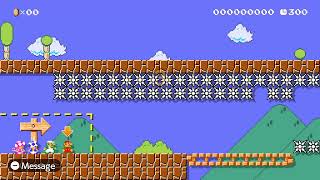 Everyone Else Having Skill Issues Super Mario Maker 2