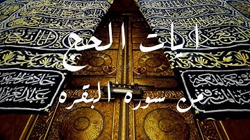 ايات الحج من سورة البقرة (الحج اشهر معلومات) | القارئ حمزة يوسف