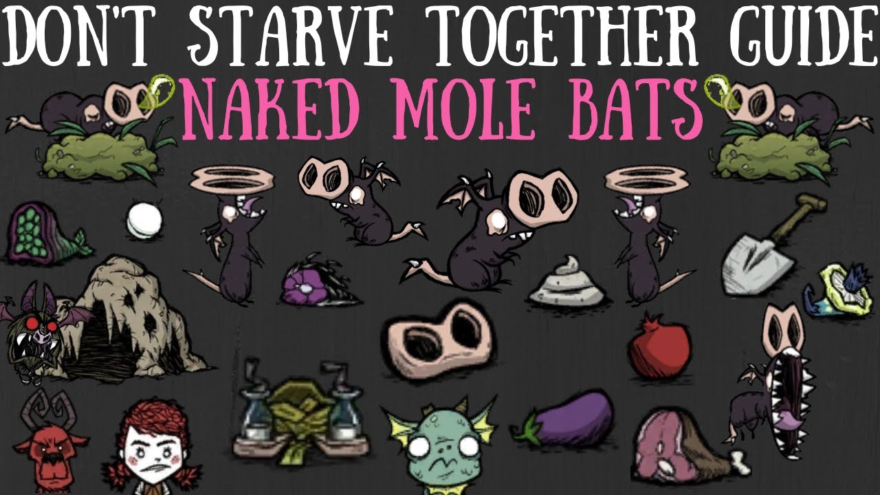 Don't Starve Together Guide: Naked Mole Bats - YouTube