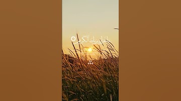 تلاوة نادرة تهز القلوب للشيخ محمد صديق المنشاوي… ستبكي من الخشوع