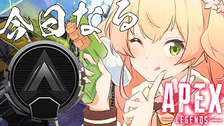 【 APEX 】私は今日シルバーになりあｍす【 桃鈴ねね / ホロライブ 】