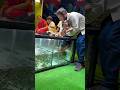 NR Fish Spa🥰 Besant Nagar beach +919952085544 #youtubeshorts #spa #cute #fish #yt #youtube #chennai