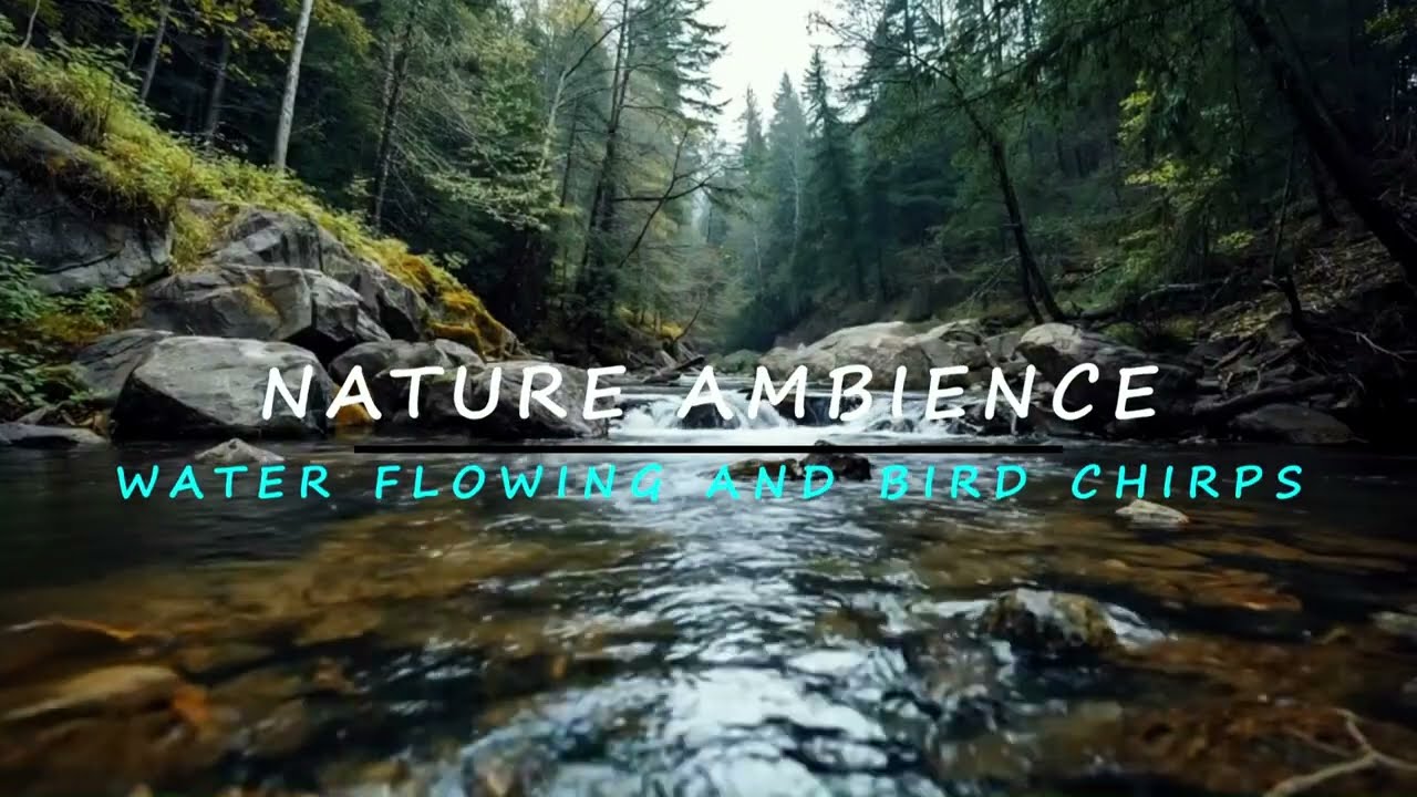 4H | 4K Forest River Ambience – Gentle Water Flow  & Bird Chirps for Deep Relaxation