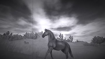 SSO||on my own|| music video!