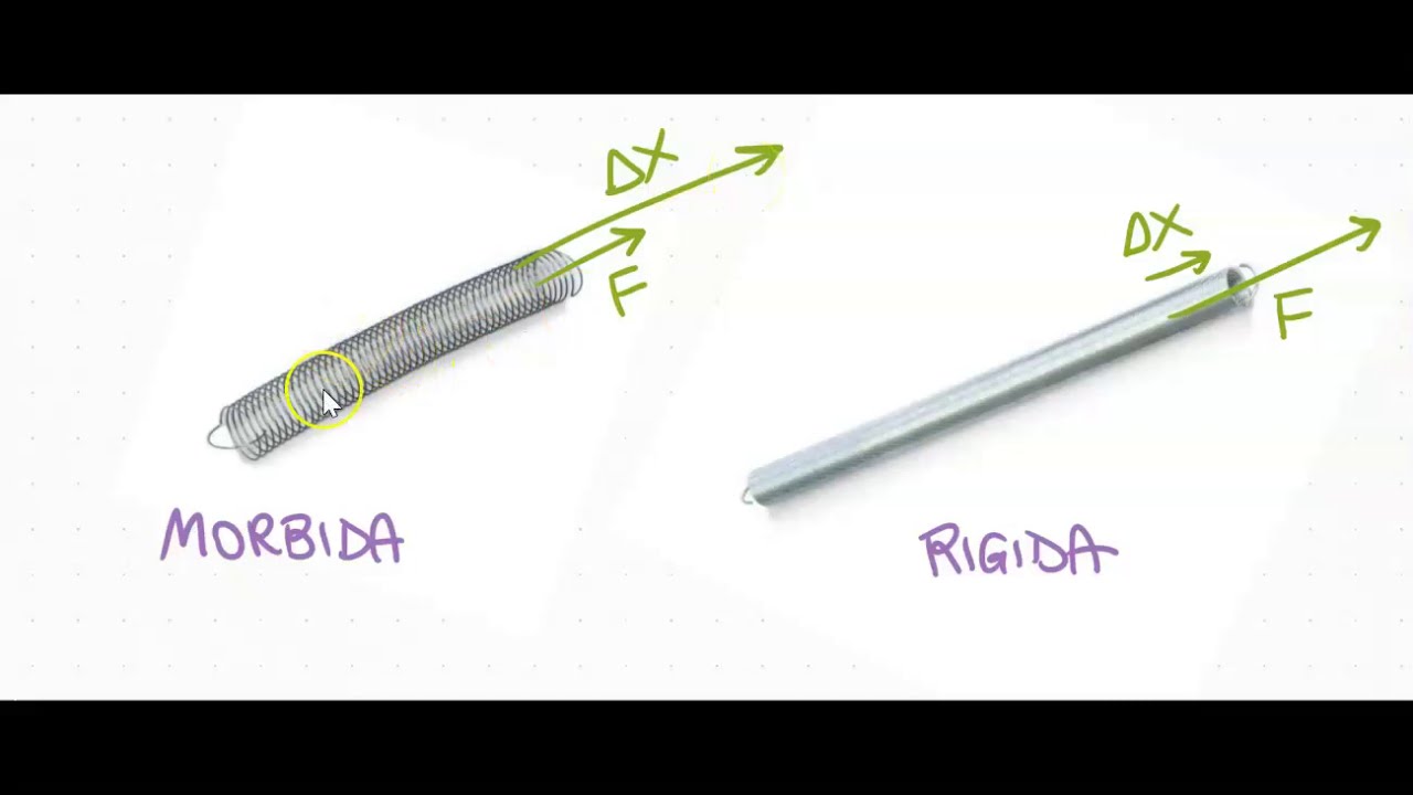 Misura statica delle forze e costruzione di un dinamometro