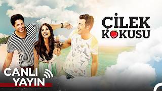 Çilek Kokusu Bölümler 7/24 #canlıyayın