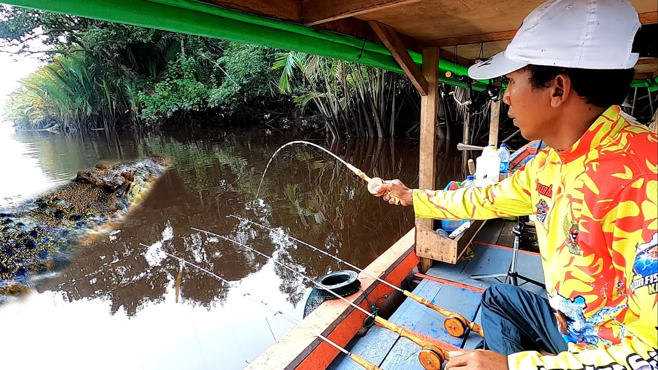 Panen babon udang setelah melihat penampakan buaya besar ketika mau pindah spot mancing