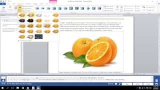 microsoft word project1a microsoft word project1a