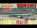 【JGC修行 回数修行】JAL回数修行　1日8フライト　沖縄宮古最大フライト数 #宮古島