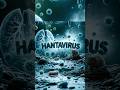 A Deadly Virus Could Be Hidden in Your Home 😳 #india #hantavirus #viral
