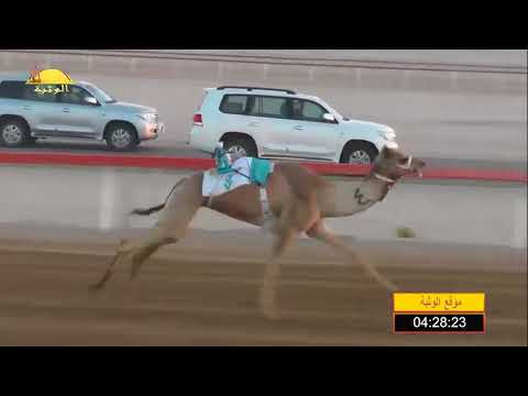 الشوط 1 منصورة ل نادر سالم الورع العامري شارة الديوان الجمعة 2018 2 9 الوقن ثنايا 6 كم